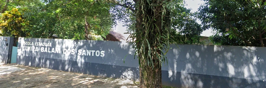  Escola Estadual Elvira Balani dos Santos